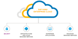 SAP HANA Enterprise Cloud