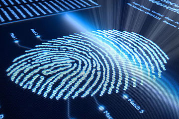 Biometric Identification