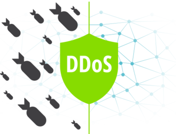 DDoS Protection