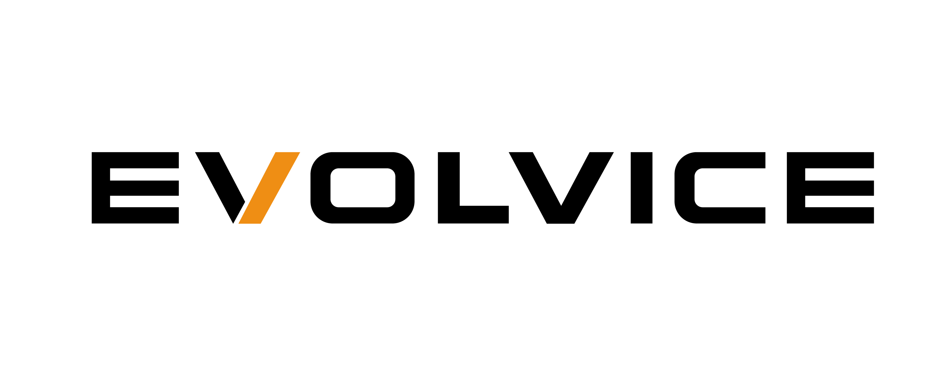 Evolvice Software Development
