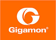 Gigamon GigaVUE-FM