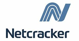 Netcracker Software Development