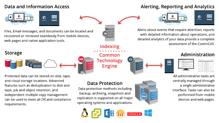  Scheme of work