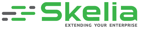 Skelia Software Development