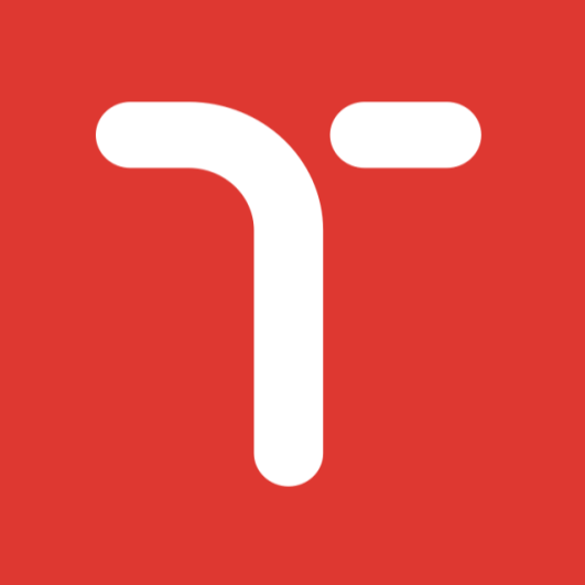 Temy Software Development