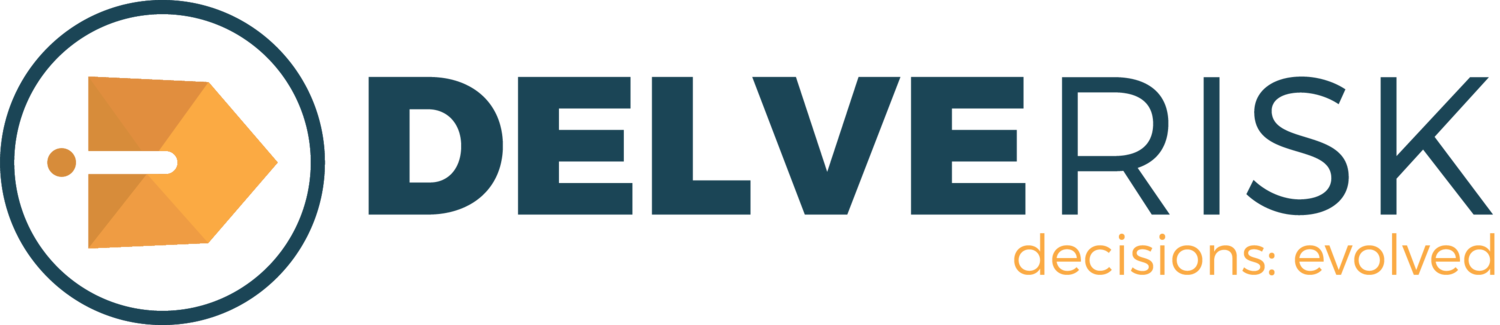 Delve Risk Cybersecurity and Management Consulting