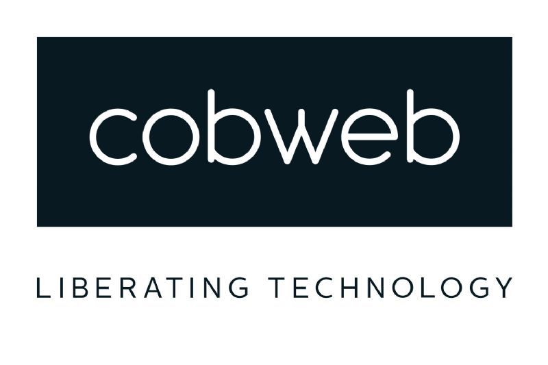 Cobweb logo