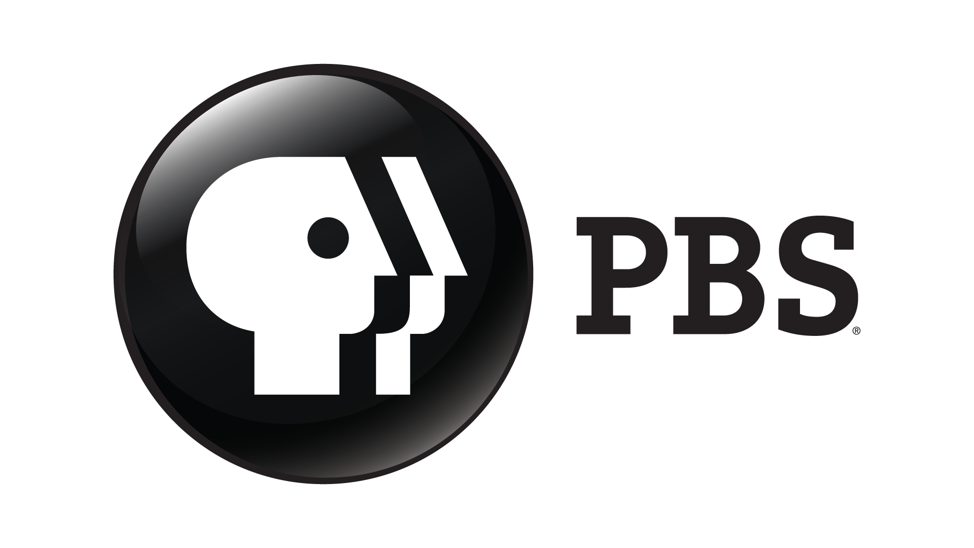 PBS (Public Broadcasting Service) logo