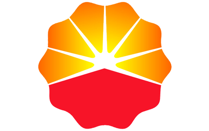 Richfit Information Technology Co