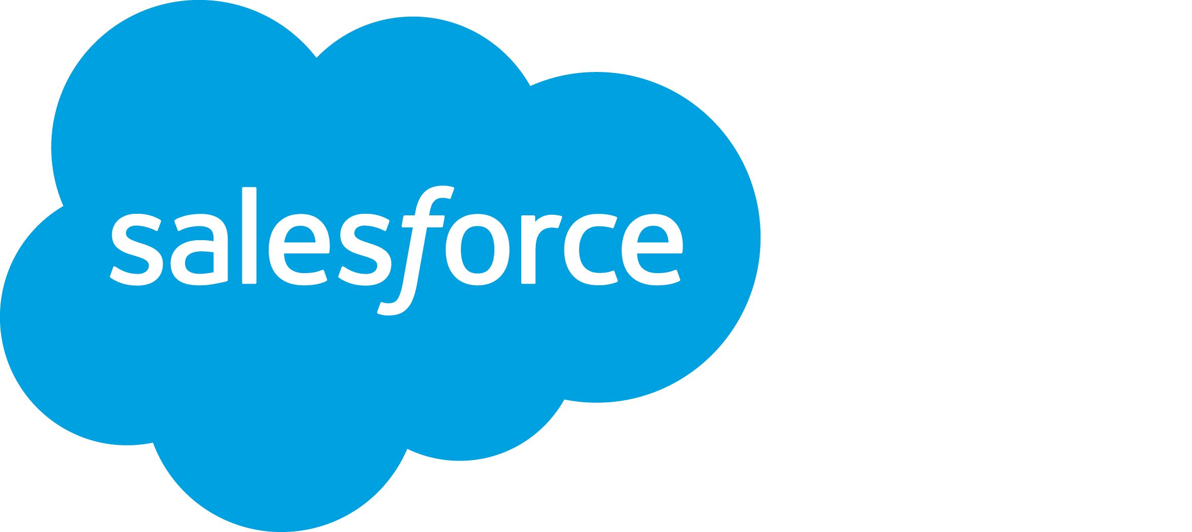 Salesforce.com (User) logo