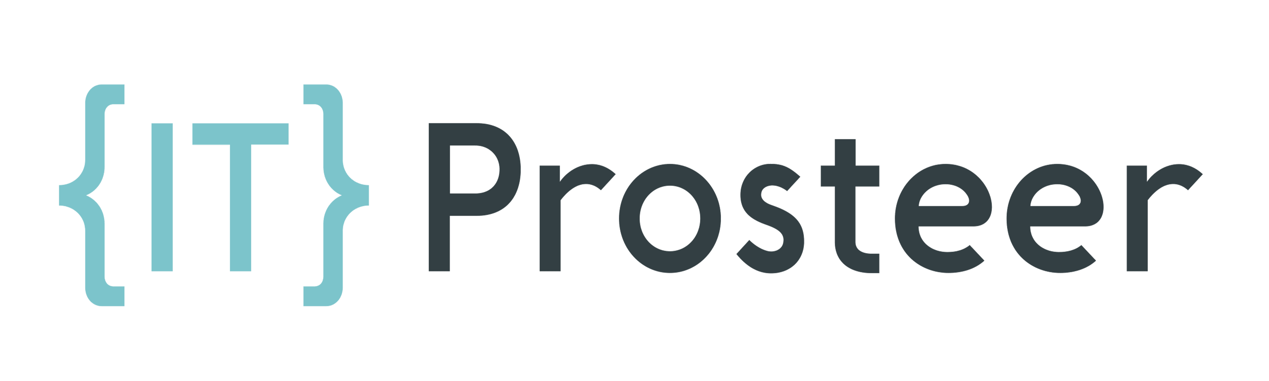 IT Prosteer logo