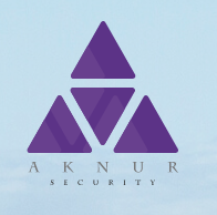 Aknur logo
