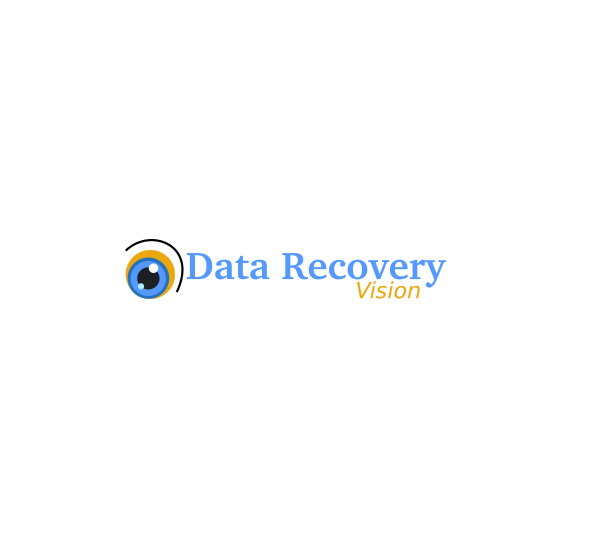 Data Recovery Vision